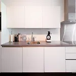 Cntr * 로테르담
