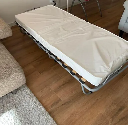 Cntr * ロッテルダム